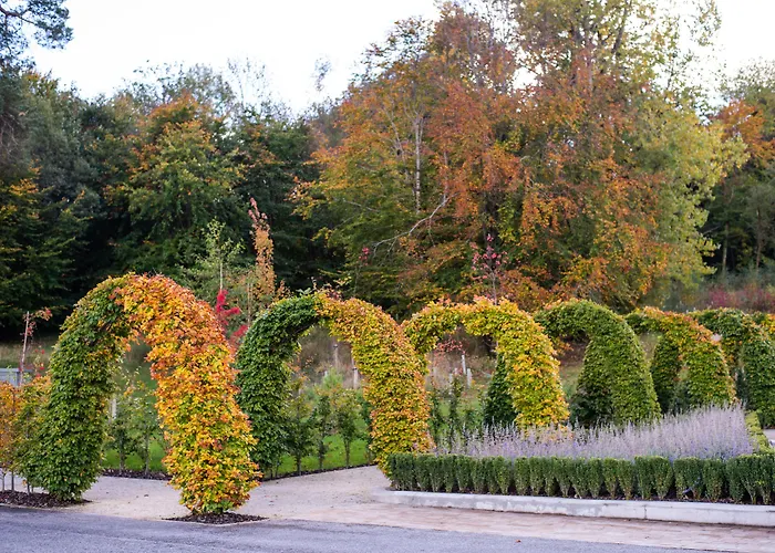 Rockhill House 호텔